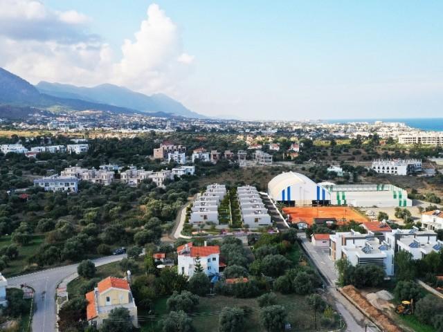 Zeytinlik